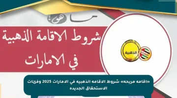 «إقامة مريحة» شروط الاقامة الذهبية في الامارات 2025 وفئات الاستحقاق الجديدة